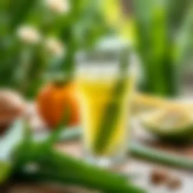 Aloe vera juice in a glass with natural backdrop