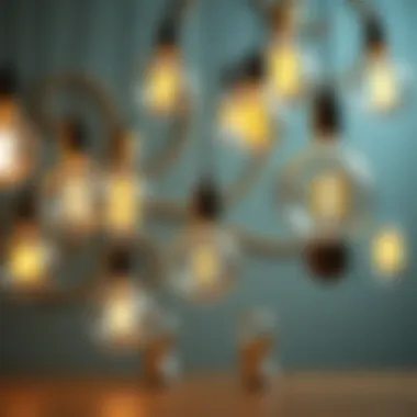 Diverse Light Bulb Designs Illustration of various types of light bulbs showcasing their diverse designs