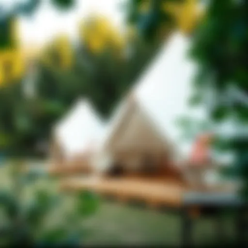 A serene tent campsite in Antalya surrounded by lush greenery