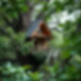 A beautifully crafted treehouse nestled among lush green branches