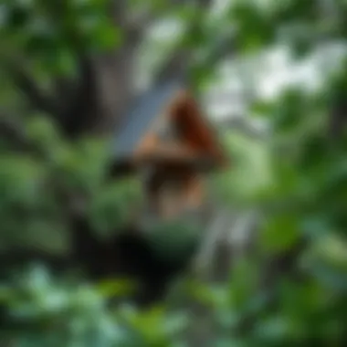 A beautifully crafted treehouse nestled among lush green branches