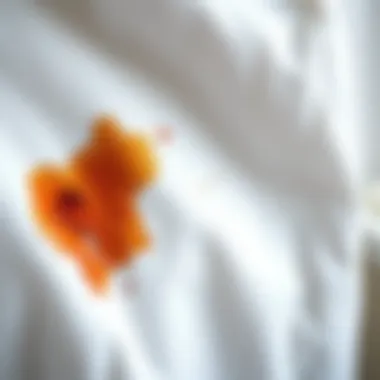 White garment being treated for stains