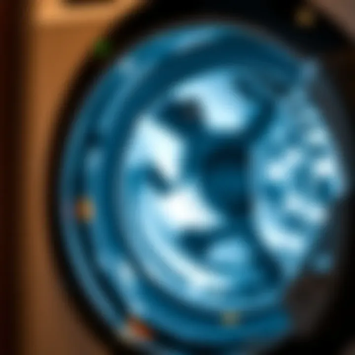 Washing Machine Cleaning Program Interface User interface of Bosch washing machine showing cleaning program