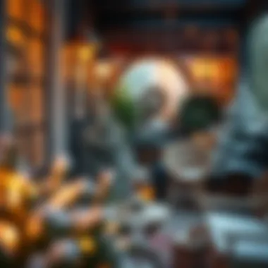 Cozy winter garden environment