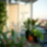 Elegant glass balcony with plants