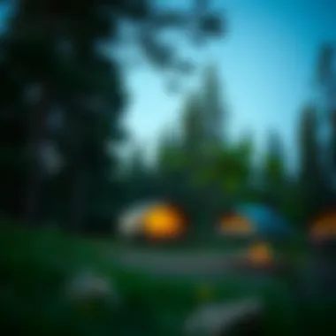 A serene campsite nestled among towering trees