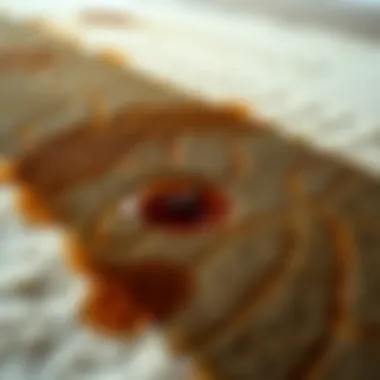 A stained carpet with a visible tea stain