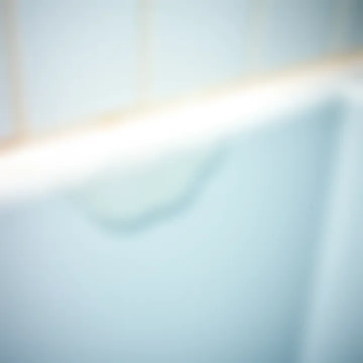 Freshly cleaned shower cabin seal gleaming