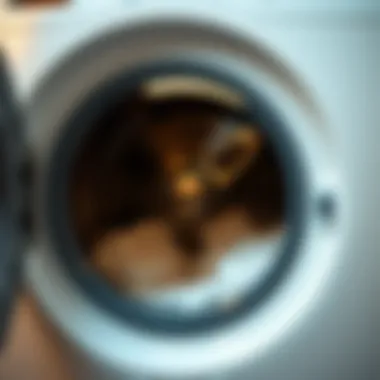 A step-by-step guide on maintaining cleanliness in a washing machine