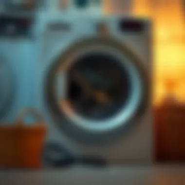 Avoiding Common Mistakes in Washing Machine Care Common mistakes in washing machine maintenance