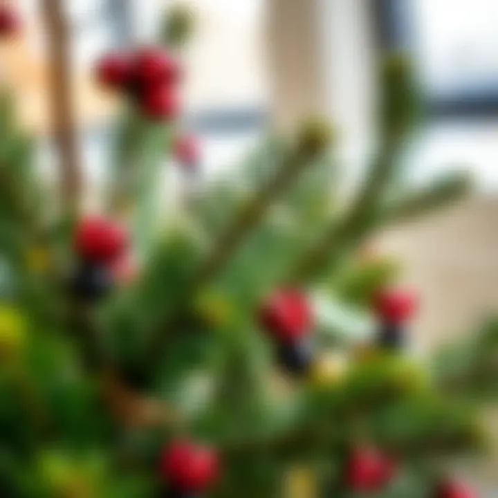 Decorative techniques for pine tree embellishment