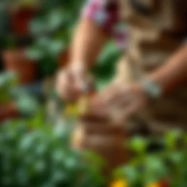 Natural Care Techniques for Plants Gardener applying natural remedies to plants