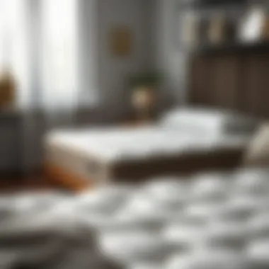 Visual guide to various types of double mattresses and their benefits