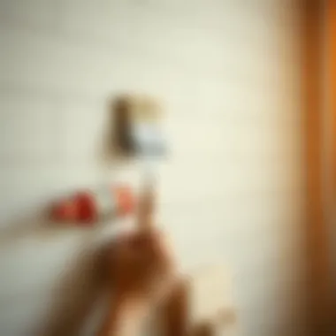 Aesthetic Wall Paint Preparation Aesthetic wall paint preparation