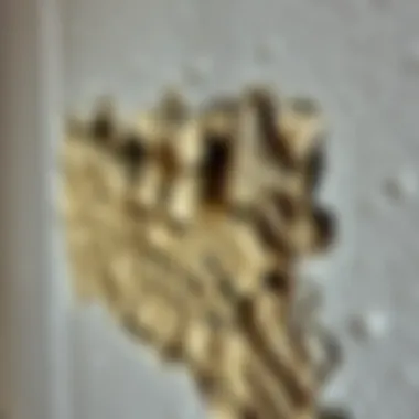 Preventive Measures Against Mold Formation Preventive measures against mold formation