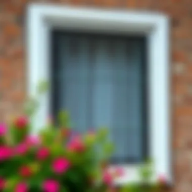 Completed Fly Screen on Window Finished fly screen installed on a window