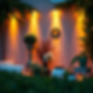 A serene garden wall with soft lighting and decorative accents for a cozy ambiance