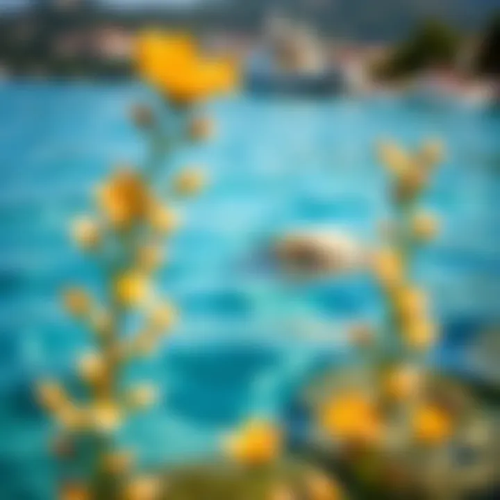 Crystal clear waters inviting exploration