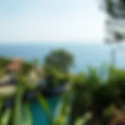 Tranquil hidden cove surrounded by lush greenery