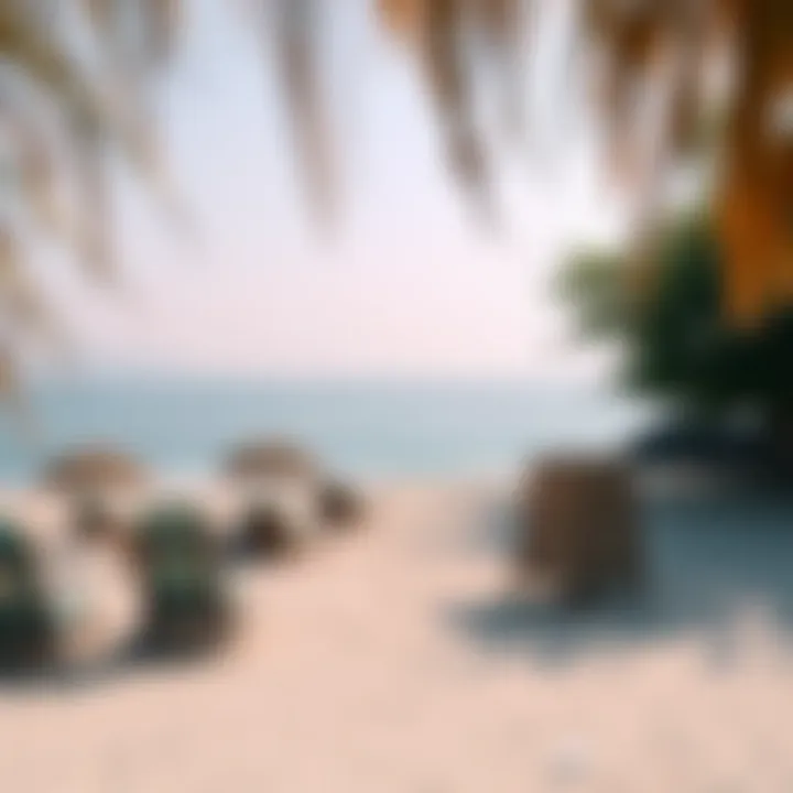 Secluded beach perfect for relaxation and adventures