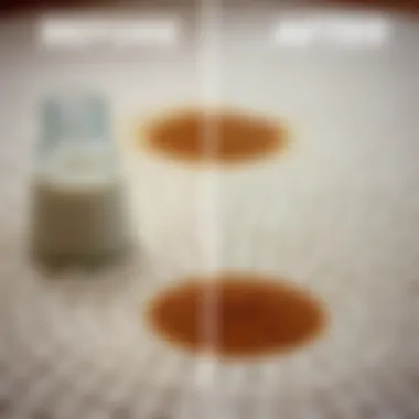 Before and after cleaning a coffee stain from a carpet