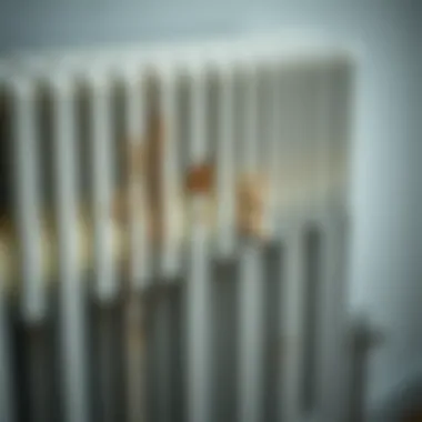 Radiator showing signs of neglect and dust buildup