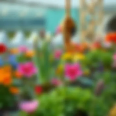 A beautifully arranged garden utilizing kisli toprak for vibrant plant growth.