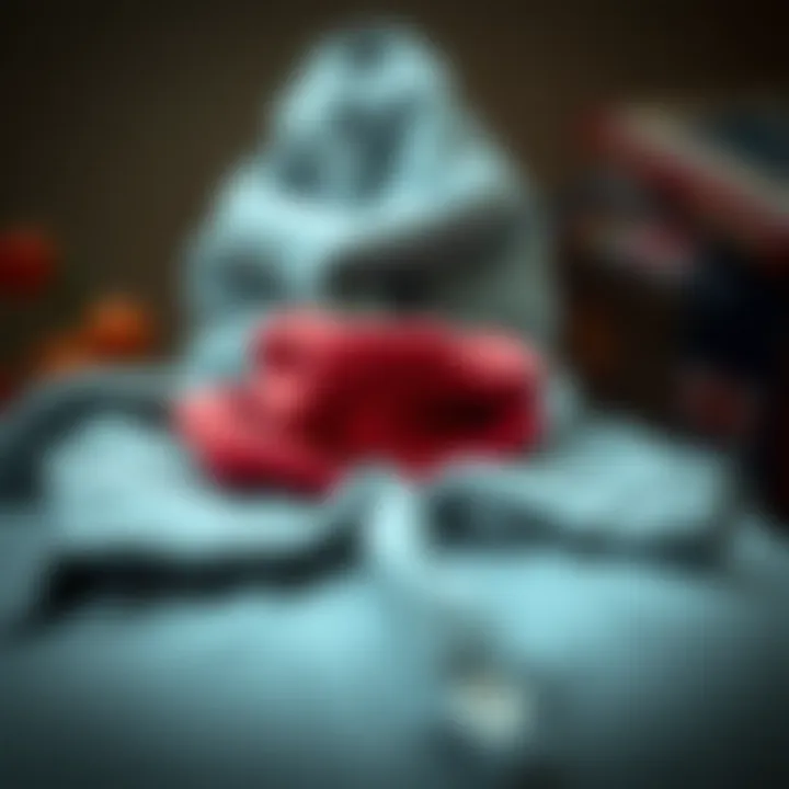 Preventive Measures for Clothing Protection Preventive measures for clothing care