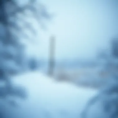 Winter Climate Conditions Winter landscape with snow and frost