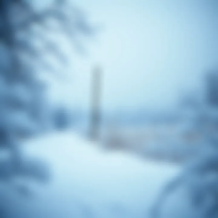 Winter Climate Conditions Winter landscape with snow and frost