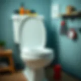 Essential tools for toilet seat hinge installation