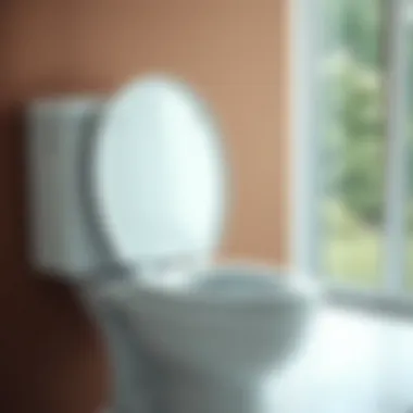 Types of toilet seat hinges available in the market