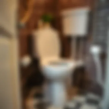 Techniques for a Thorough Toilet Cleaning Demonstrating toilet cleaning techniques