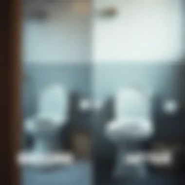 Before and after toilet cleaning