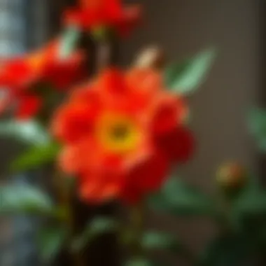 Kokina flower used in a DIY project