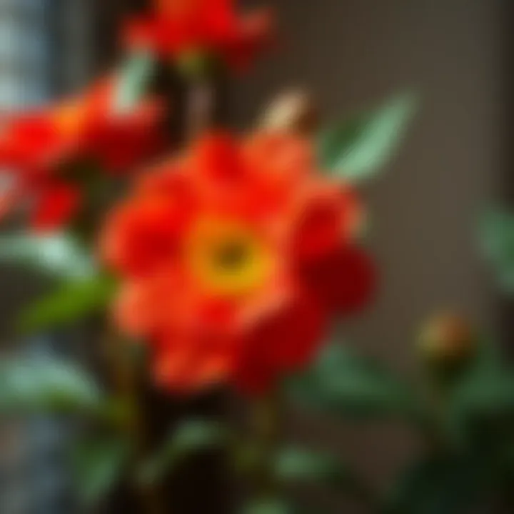 Kokina flower used in a DIY project