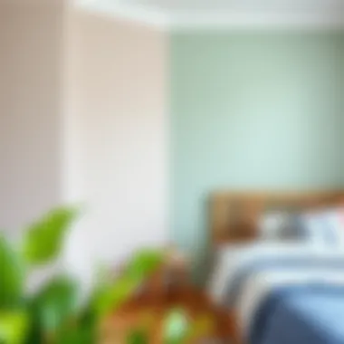 Before and after of a wall transformation