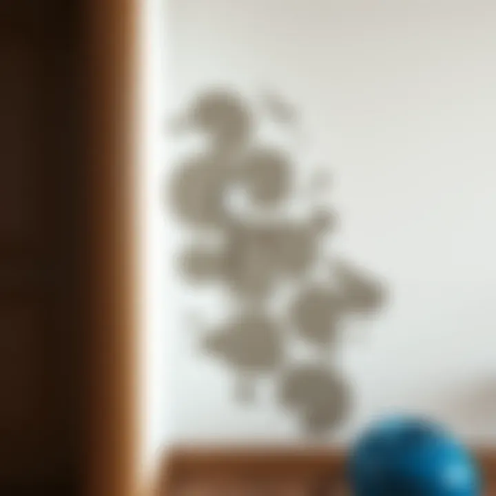 Mold-free wall illustration