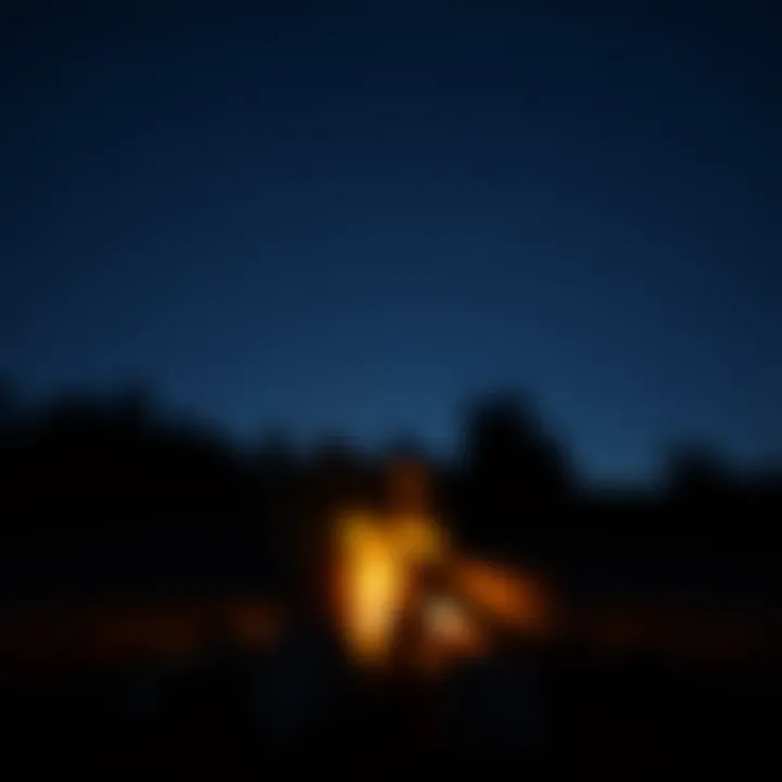 Cozy Campfire Under the Stars A cozy campfire glowing in the night with stars above