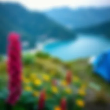 Vibrant Nature Landscapes in Mugla Beautiful nature landscapes in Mugla with vibrant flora