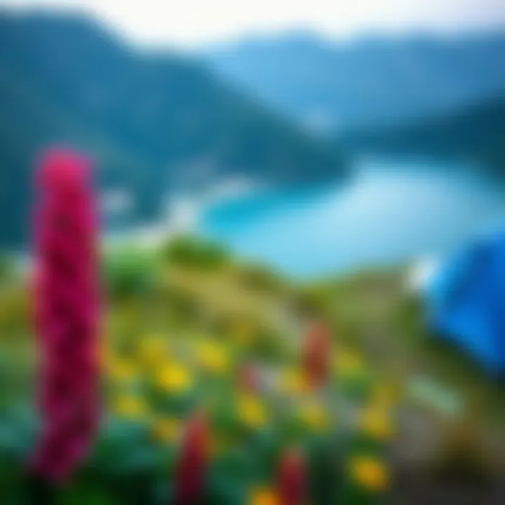 Vibrant Nature Landscapes in Mugla Beautiful nature landscapes in Mugla with vibrant flora