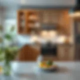 Elegant kitchen cabinet with new modern doors