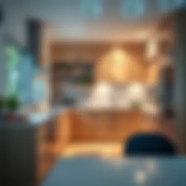 Trendy kitchen showcasing minimalist cabinet design