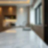 Elegant kitchen countertop showcasing marble texture