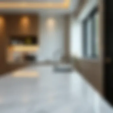 Elegant kitchen countertop showcasing marble texture