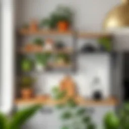 Creative wall shelving in a kitchen with plants and decor