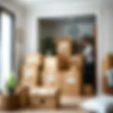 A beautifully organized packing process with boxes labeled and ready for moving.