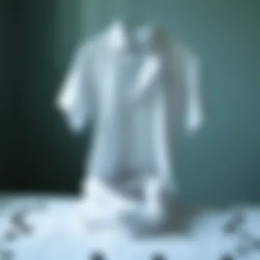 A pristine white shirt before cleaning