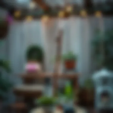 Practical Tips to Maintain a Mosquito-Free Zone Practical tips for a mosquito-free environment