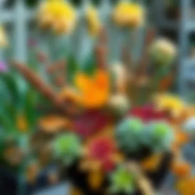 An arrangement of seasonal autumn plants in a garden setting